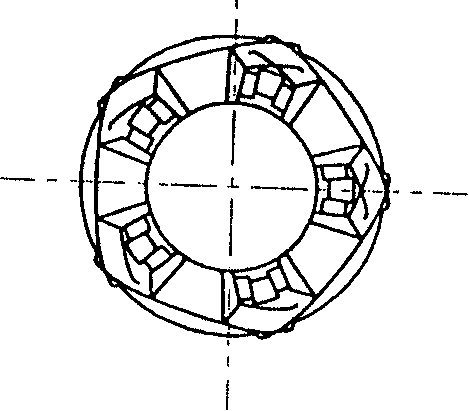 Internal support device for treating femoral head necrosis