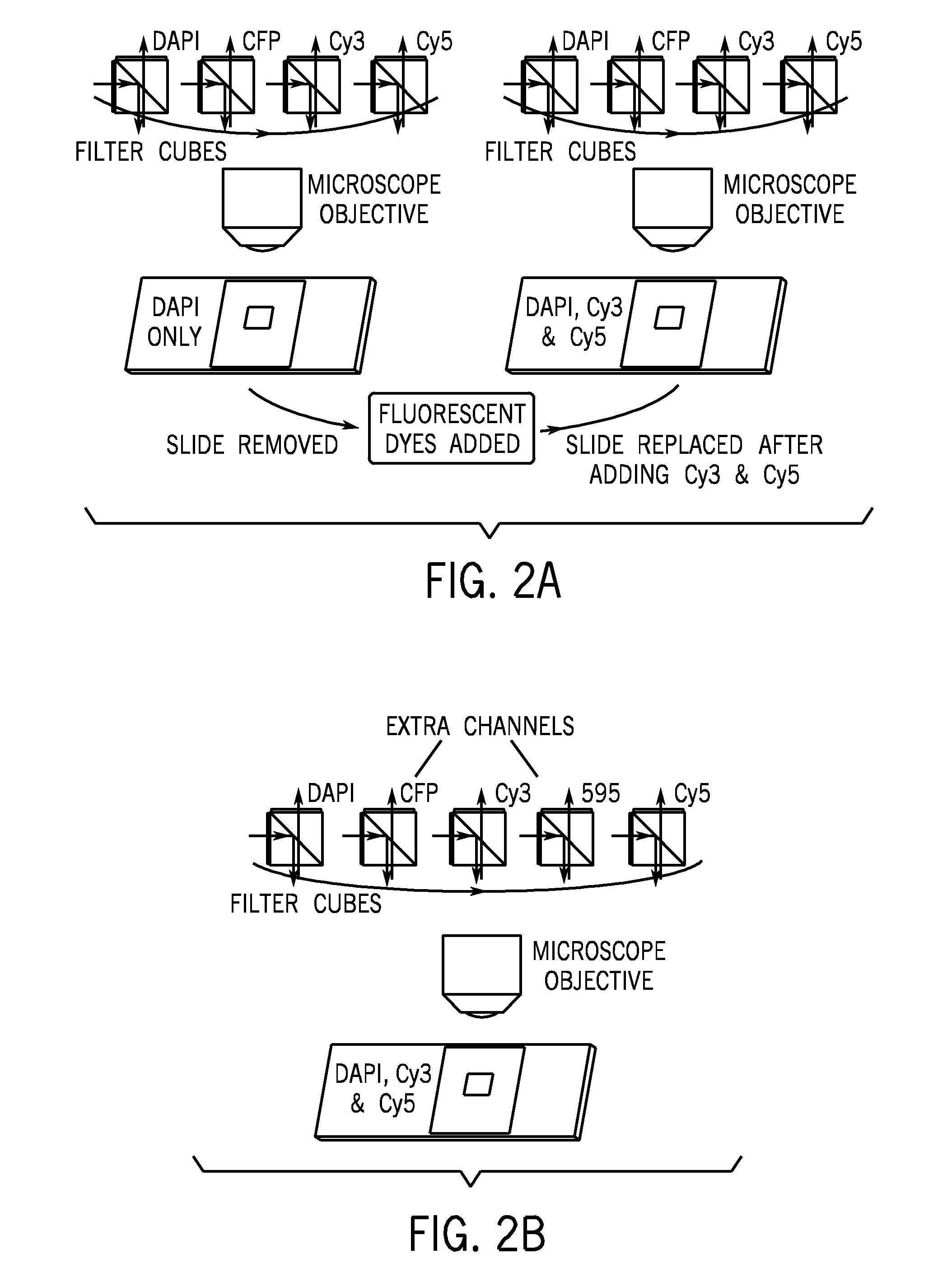 Method and apparatus for removing tissue autofluorescence