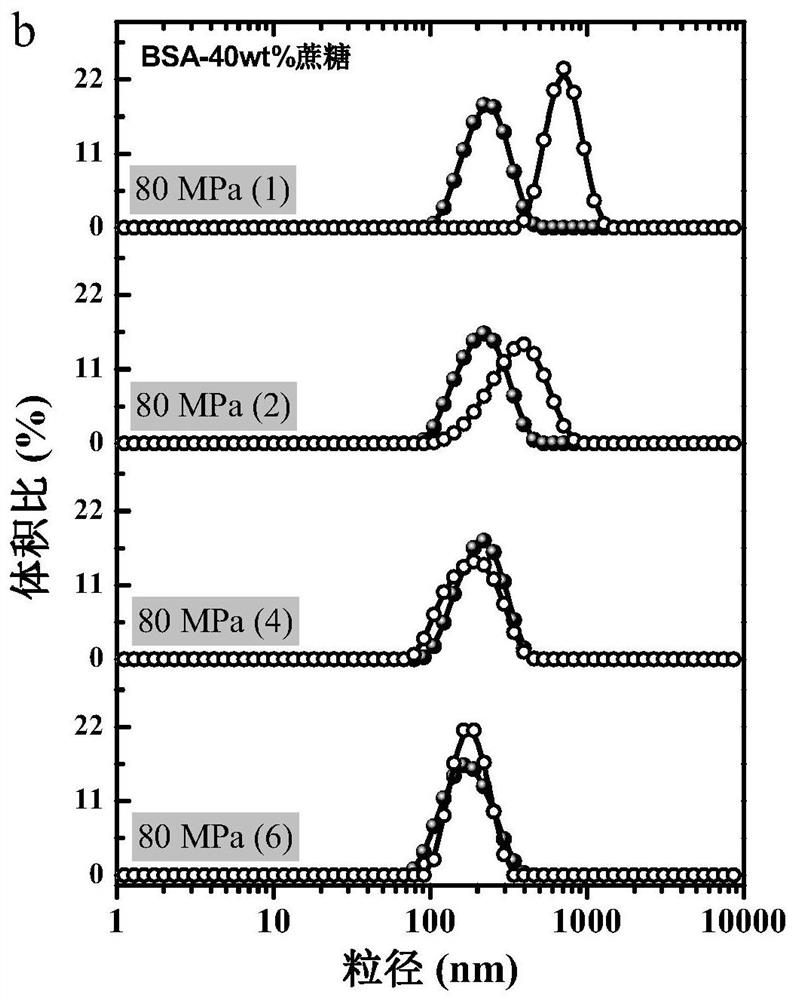 Method for synergistically and efficiently preparing protein-based nano-emulsion by taking polyhydroxy alcohol as molecular chaperone and prepared protein-based nano-emulsion