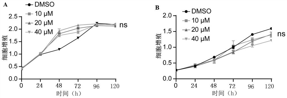 Application of K786-4469 compound in preparation of antitumor drugs