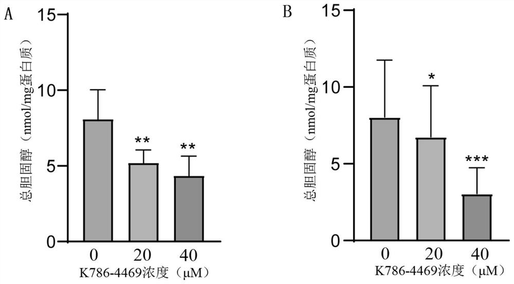 Application of K786-4469 compound in preparation of antitumor drugs