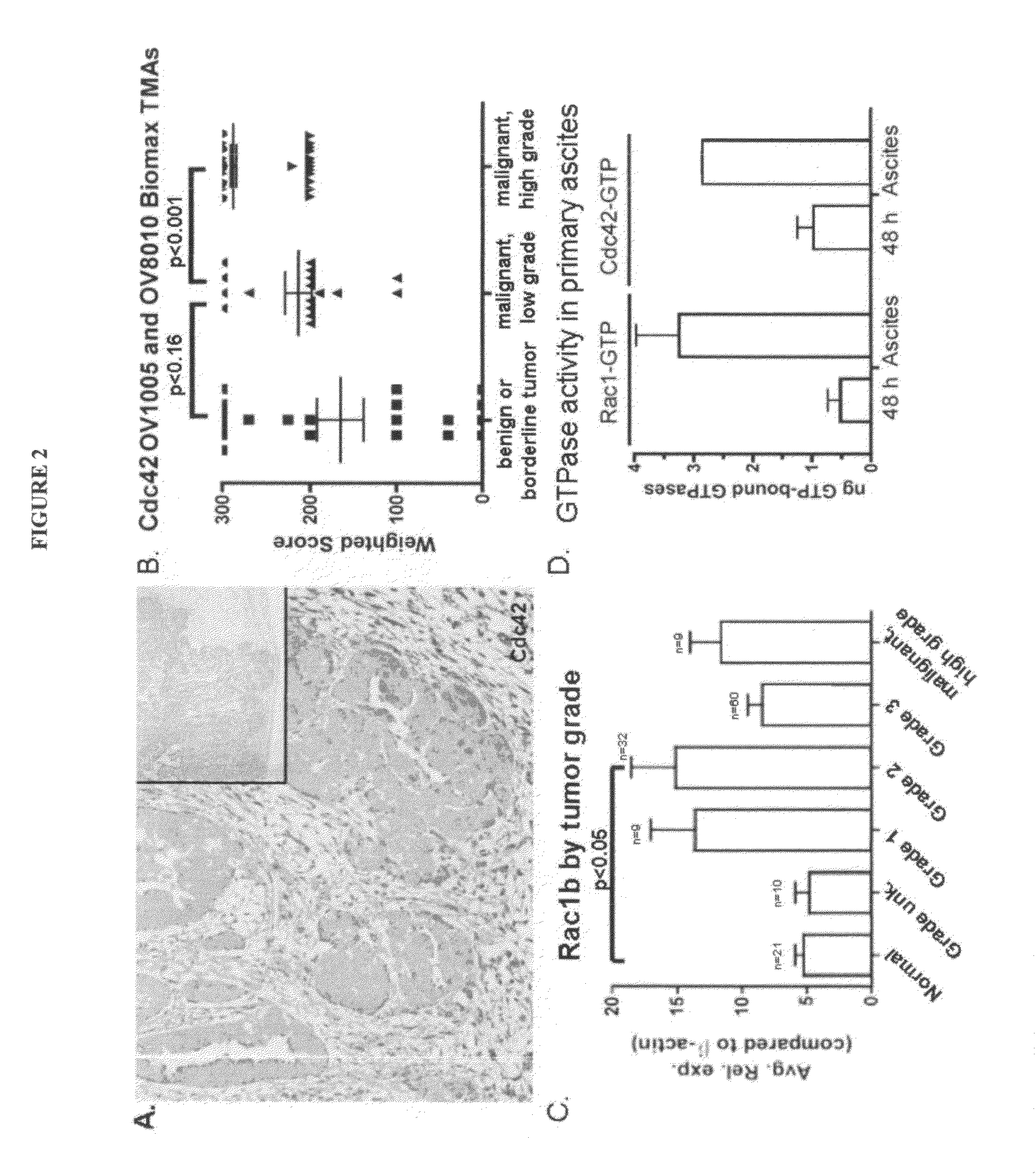 Modulators of GTPases and their use