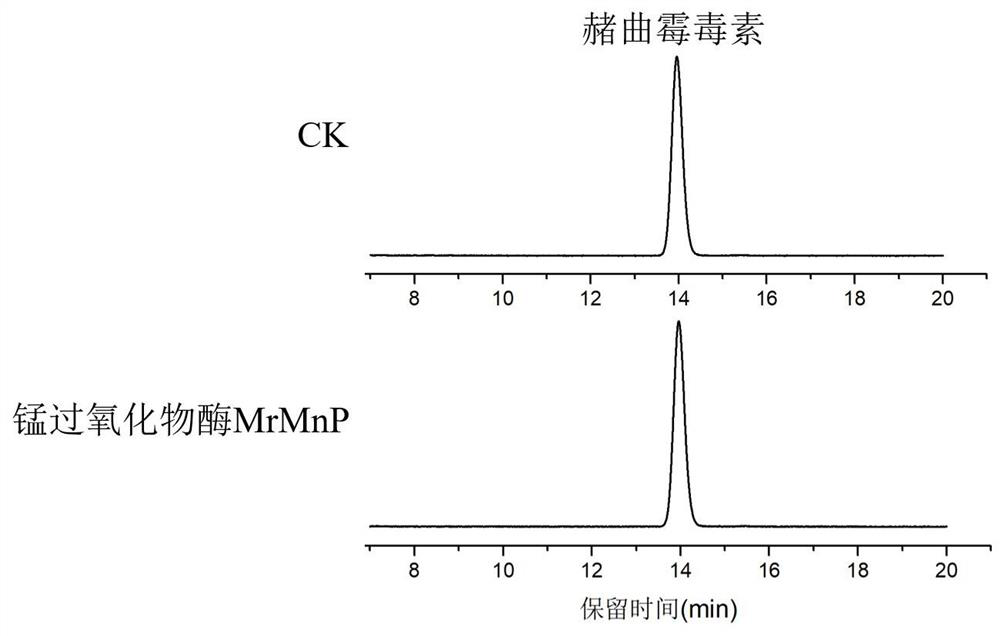 Application and method of manganese peroxidase for degrading citrinin