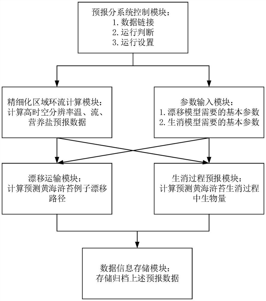 System and method for forecasting development trend of enteromorpha prolifera in Yellow Sea under combined action of physics and ecology