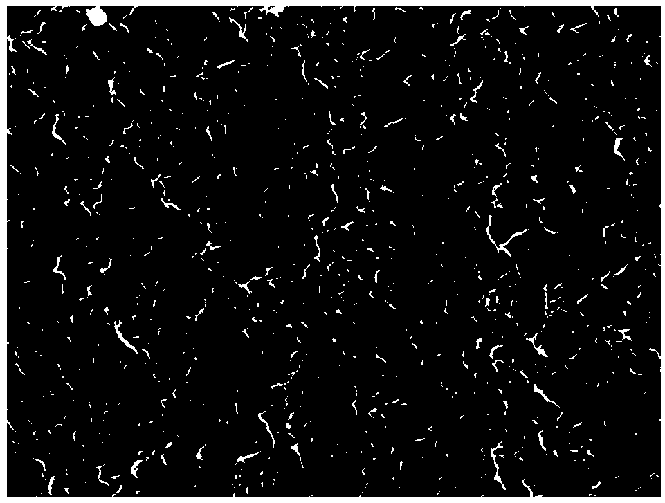 Method for texturing silicon wafer by repeatedly utilizing black silicon cleaning solution