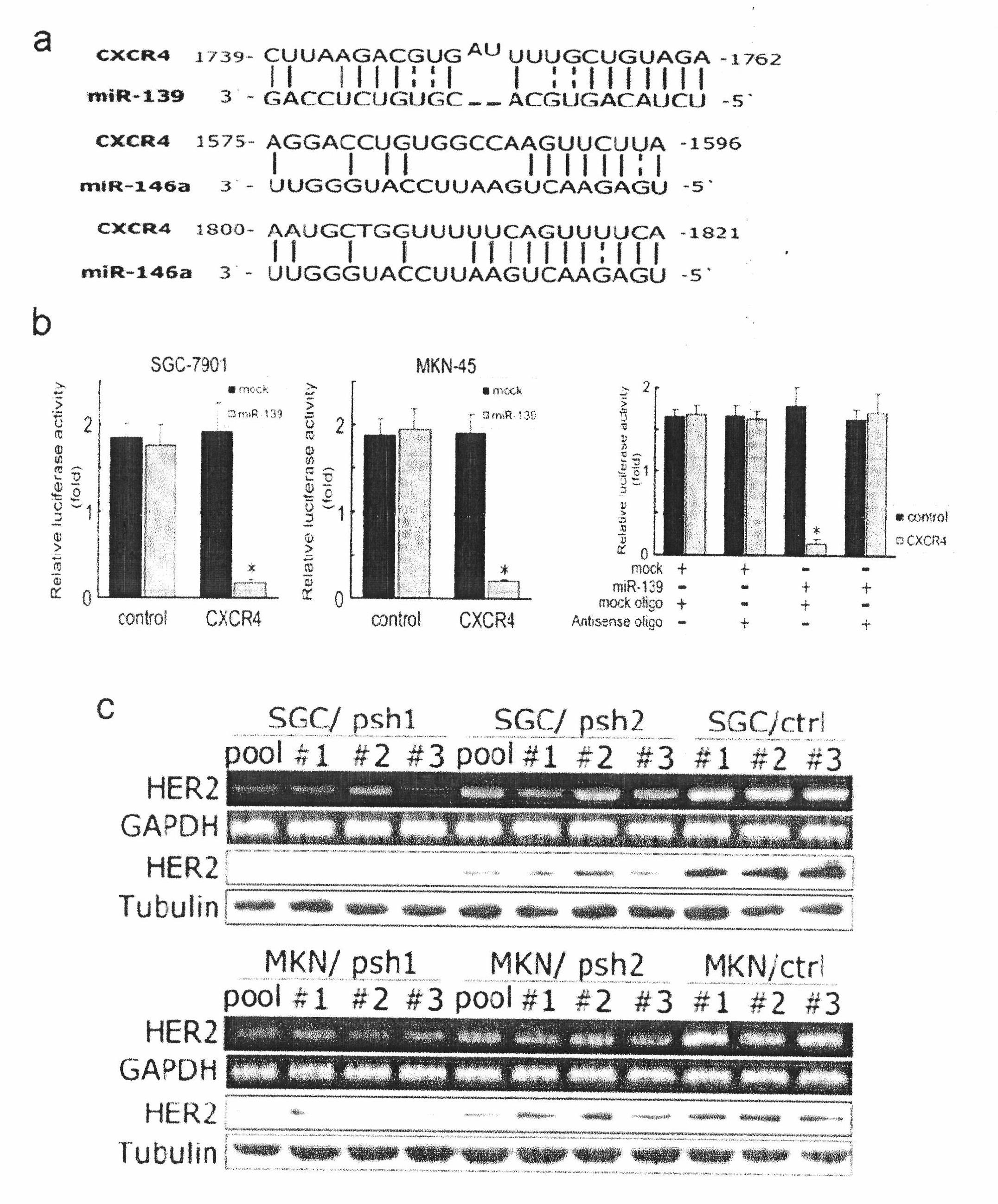 Application of microRNA-139