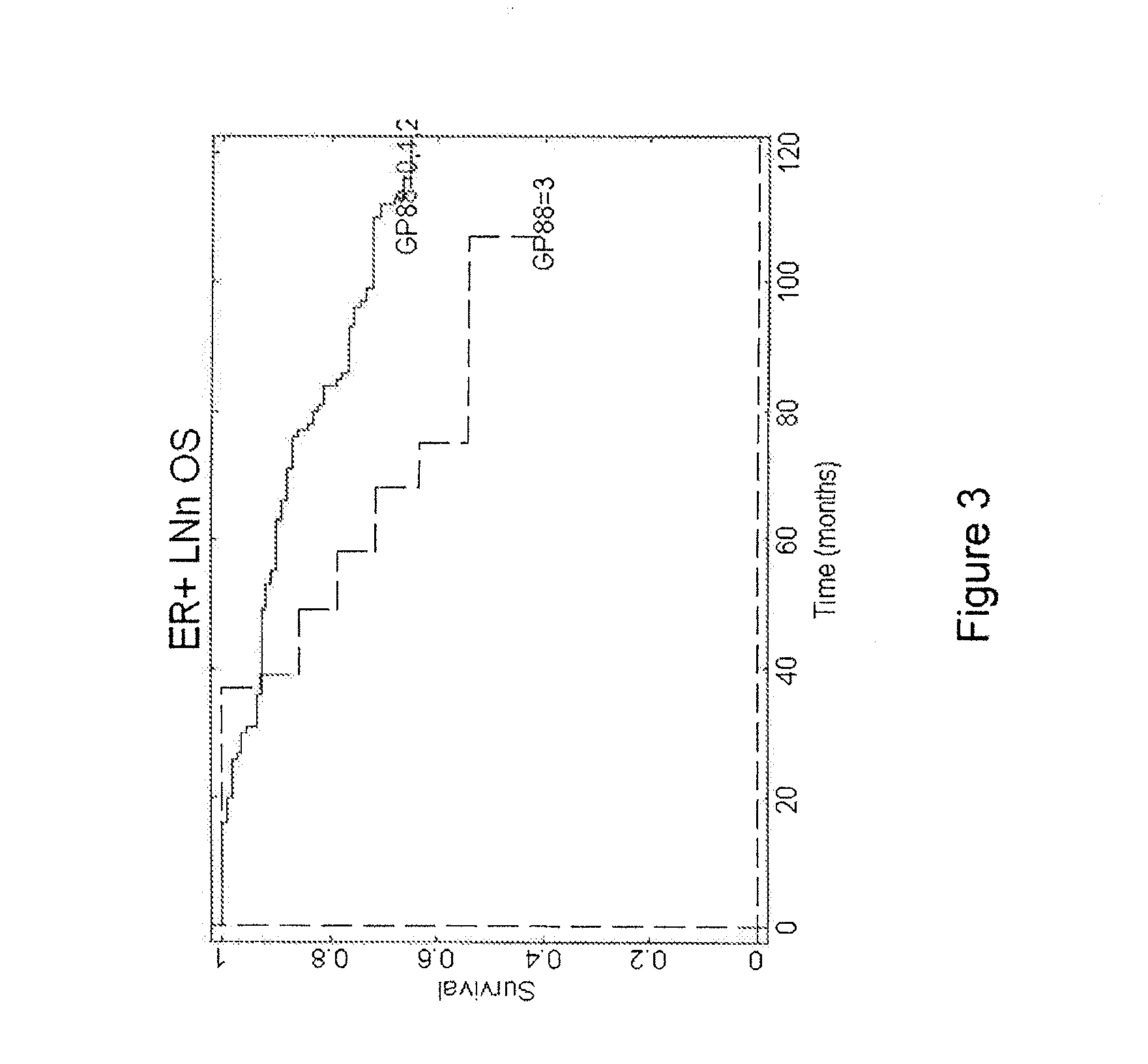 Methods for diagnosing cancer and determining the overall survival and disease-free survival of cancer patients