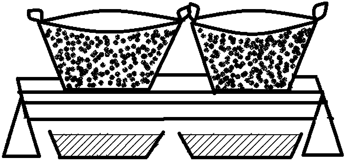 A kind of cutting propagation culture method of semi-lignified Moringa oleifera