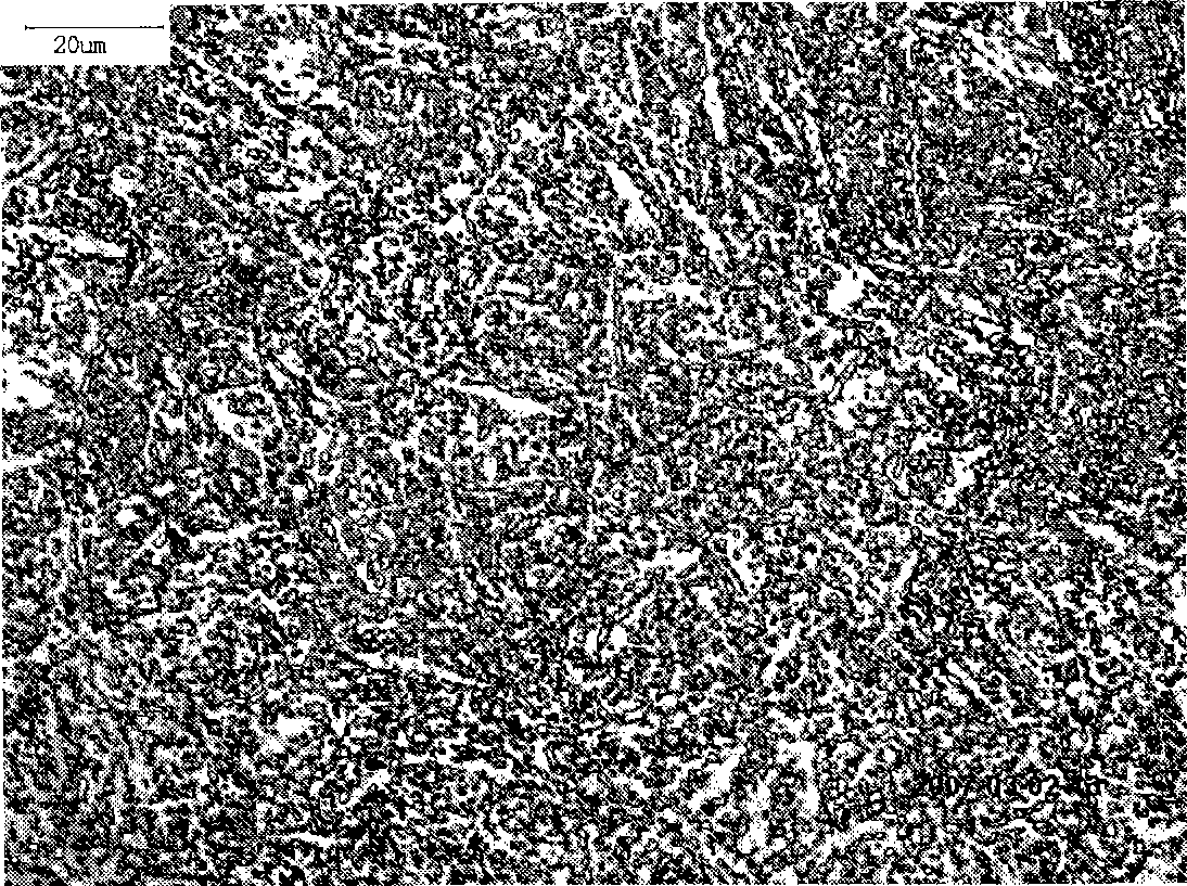 Steel for stamping die and method of manufacture