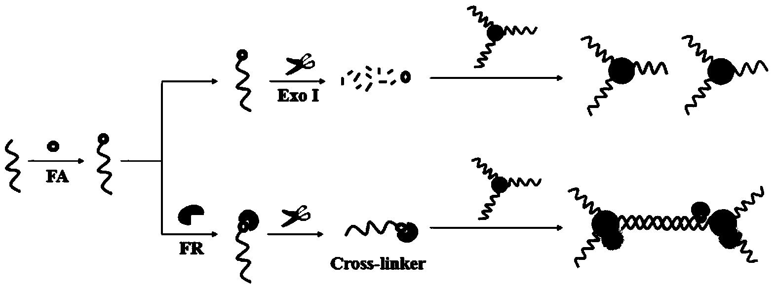 Deoxyribonucleic acid (DNA)-modified gold nanoparticle colorimetric sensor and preparation method and use thereof