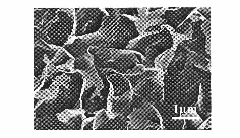 Continuous large-area zinc oxide nano-sheet and preparation method thereof