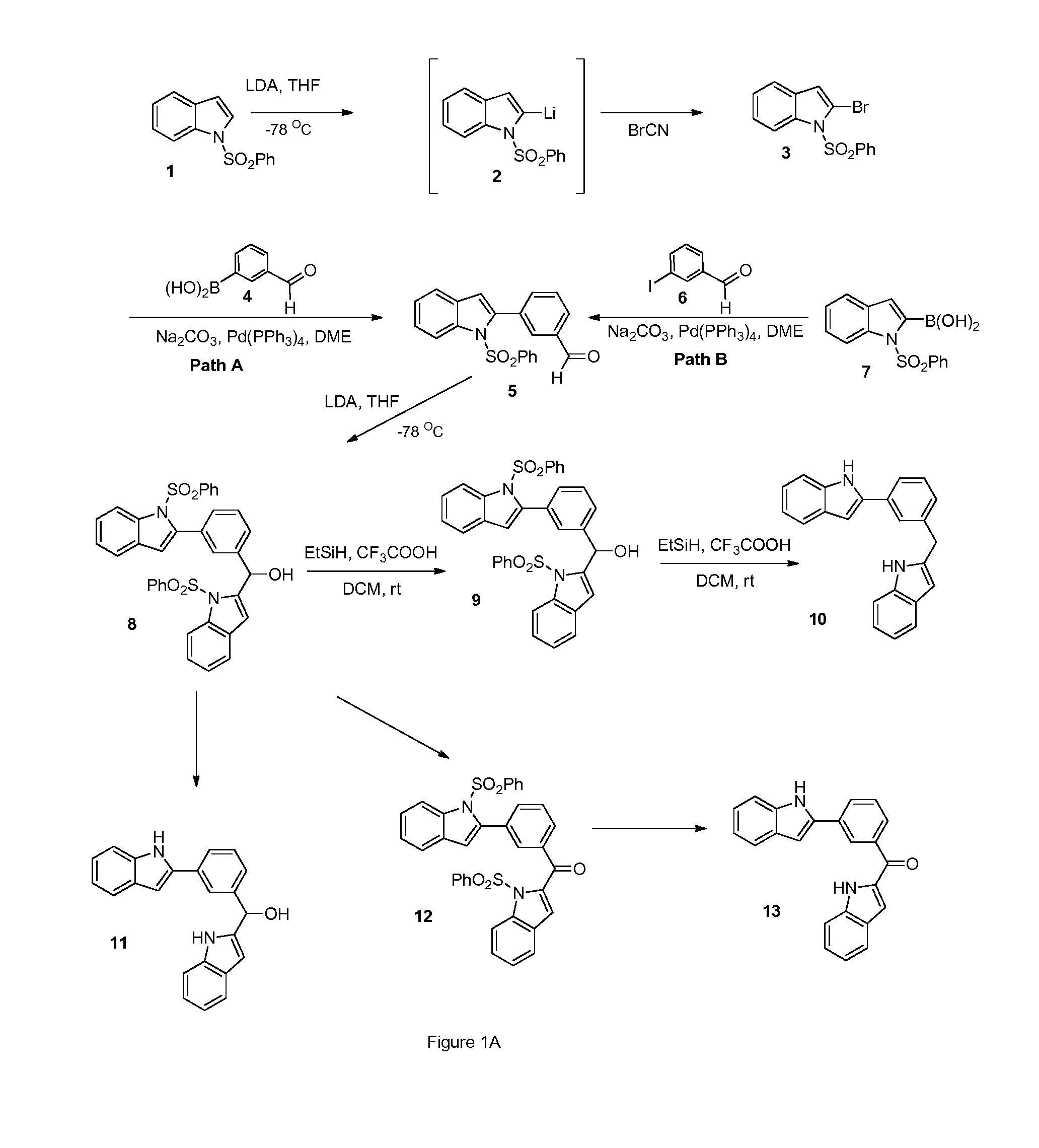 Indoles, derivatives and analogs thereof and uses therefor