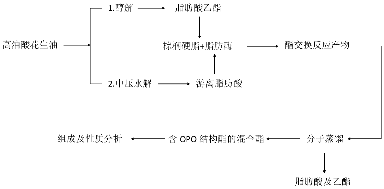 A kind of preparation method of mixed ester rich in OPO structural lipid