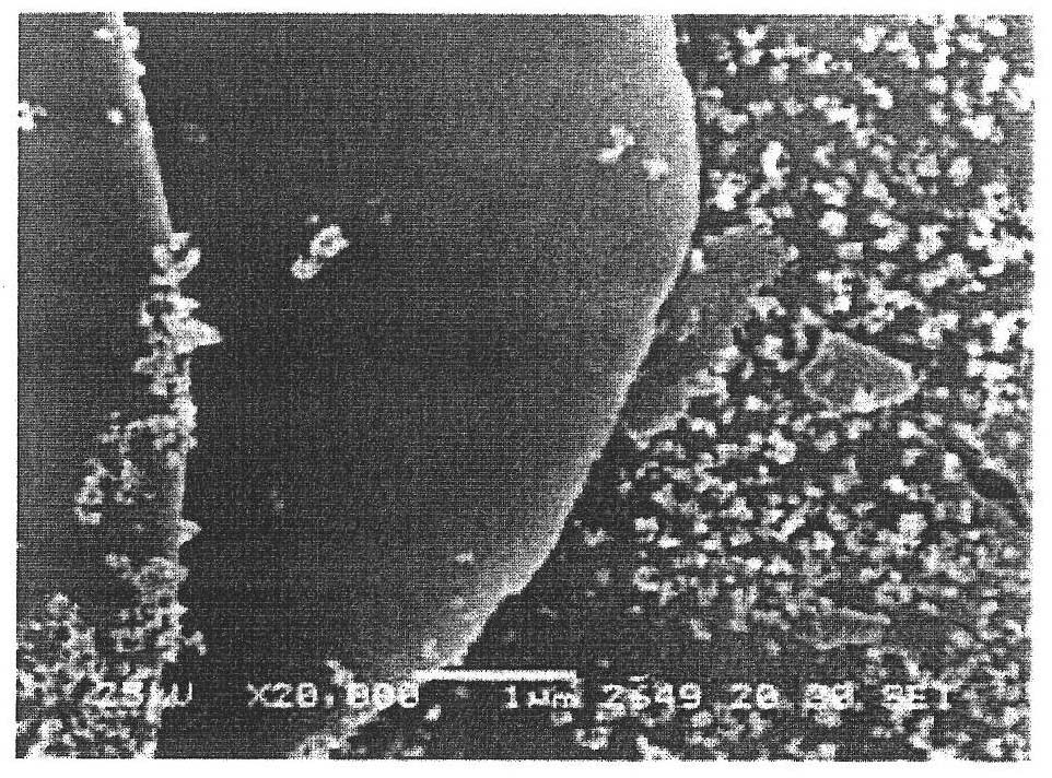 Flake pigment, powder coating material containing the flake pigment, powder coated film obtained by coating with frictional electrification-type electrostatic coating apparatus using the powder coating material, coated product with the powder coated film, and process for producing flake pigment