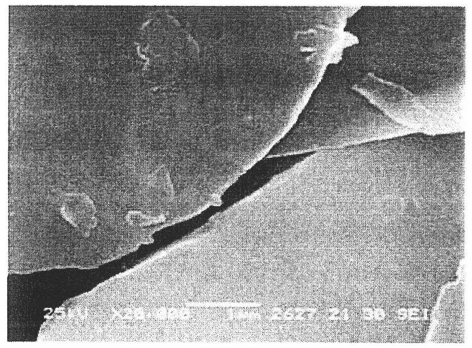 Flake pigment, powder coating material containing the flake pigment, powder coated film obtained by coating with frictional electrification-type electrostatic coating apparatus using the powder coating material, coated product with the powder coated film, and process for producing flake pigment