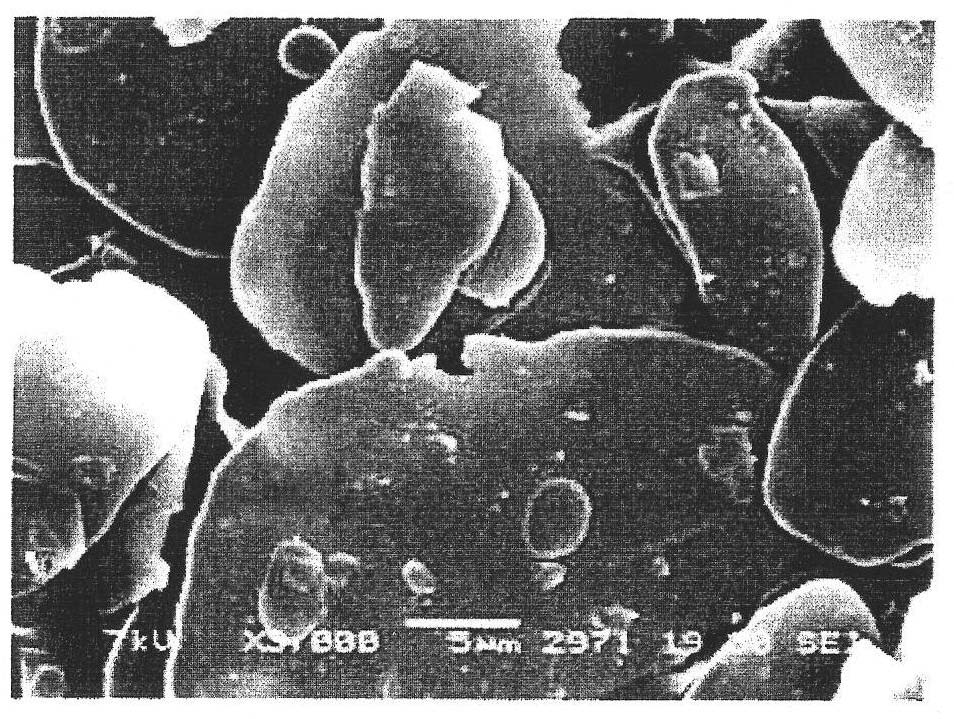 Flake pigment, powder coating material containing the flake pigment, powder coated film obtained by coating with frictional electrification-type electrostatic coating apparatus using the powder coating material, coated product with the powder coated film, and process for producing flake pigment