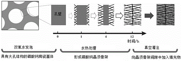 Calcium phosphate whisker frame and porous composite scaffold and their preparation methods