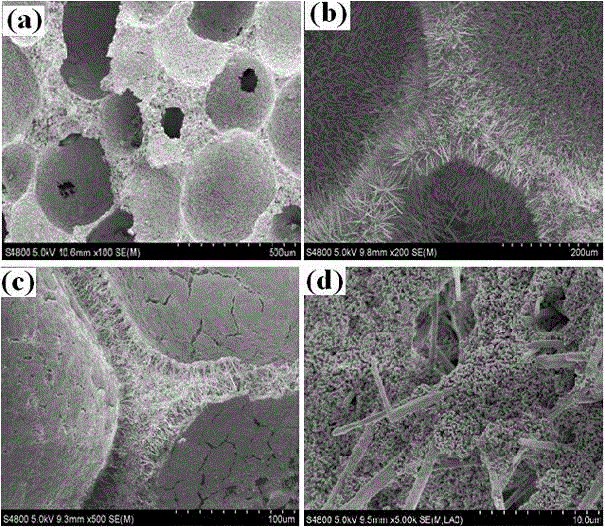 Calcium phosphate whisker frame and porous composite scaffold and their preparation methods