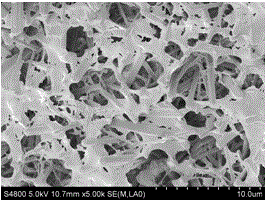 Calcium phosphate whisker frame and porous composite scaffold and their preparation methods