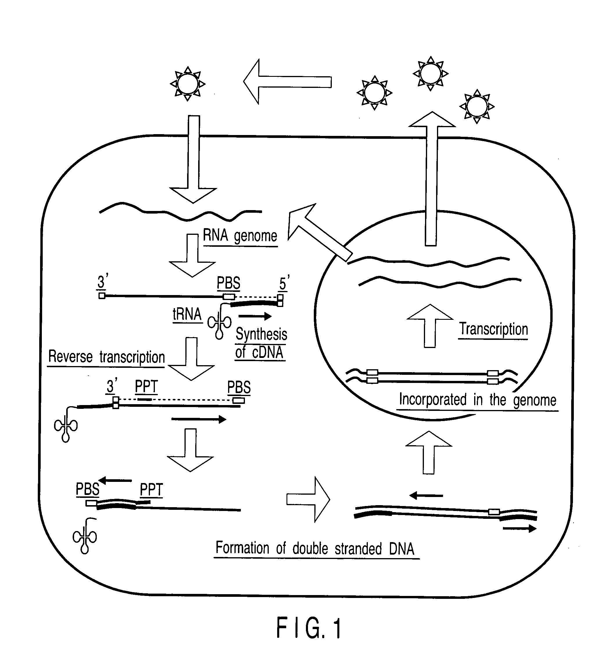 Method for information processing with nucleic acid molecules