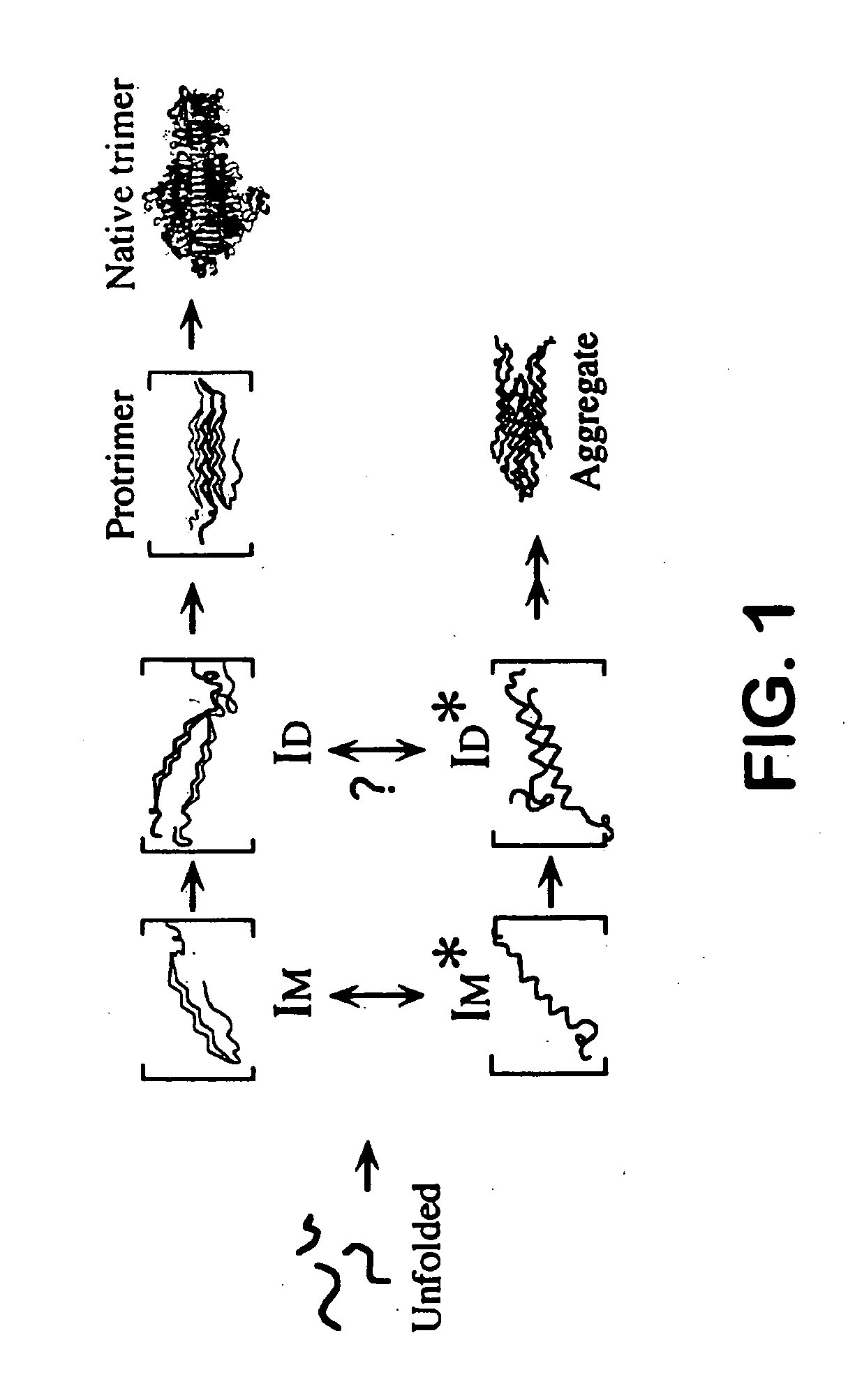 Use of hydrostatic pressure to inhibit and reverse protein aggregation and facilitate protein refolding