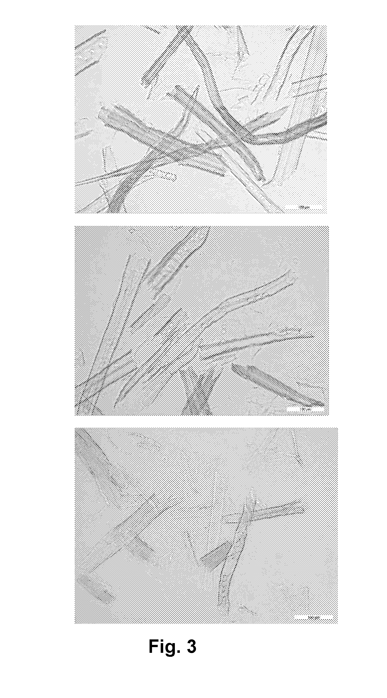 A method of producing oxidized or microfibrillated cellulose