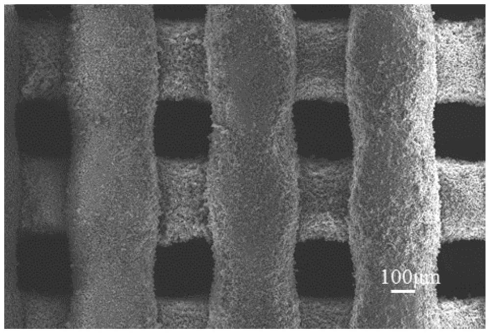 Preparation method and application of biological ceramic scaffold with hollow microsphere surface micro-nano structure