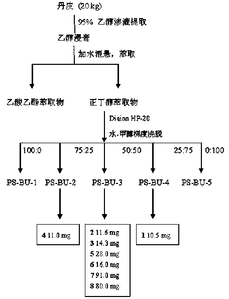 Phenolic glycoside compounds and application thereof in preparation of anticomplement drugs