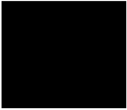 Cold shock induction method for paramisgurnus dabryanus androgenesis haploid