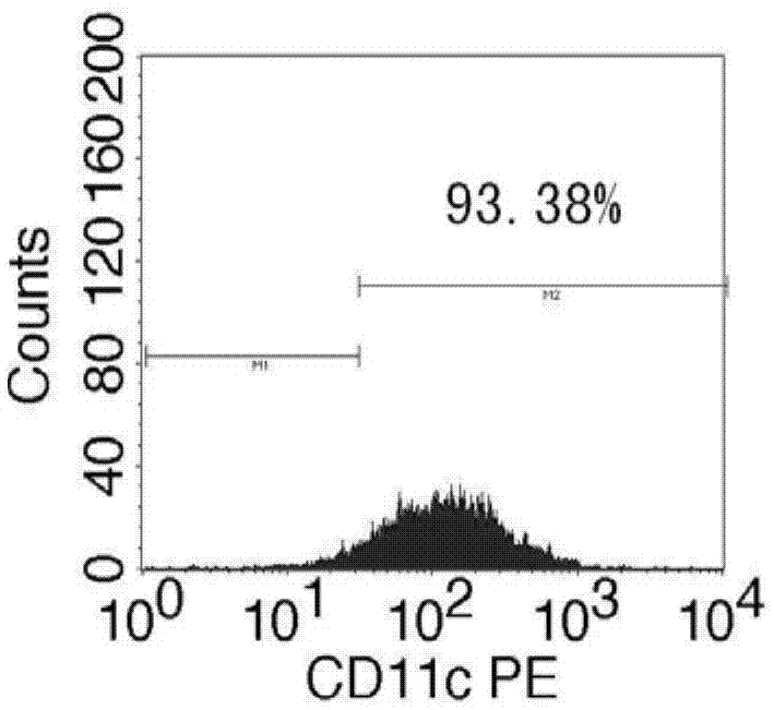 Antigen-specific immature DC (dendritic cell) source exosome as well as preparation and application methods thereof