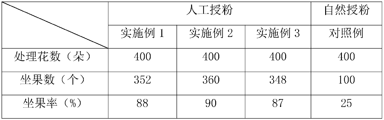 Planting method of passion fruits