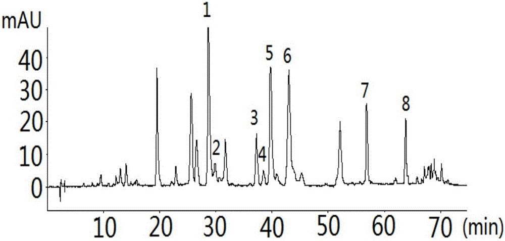 Detecting method for measuring content of flavonoid compounds and terpene lactone compounds in ginkgo bioba leaf extract at same time