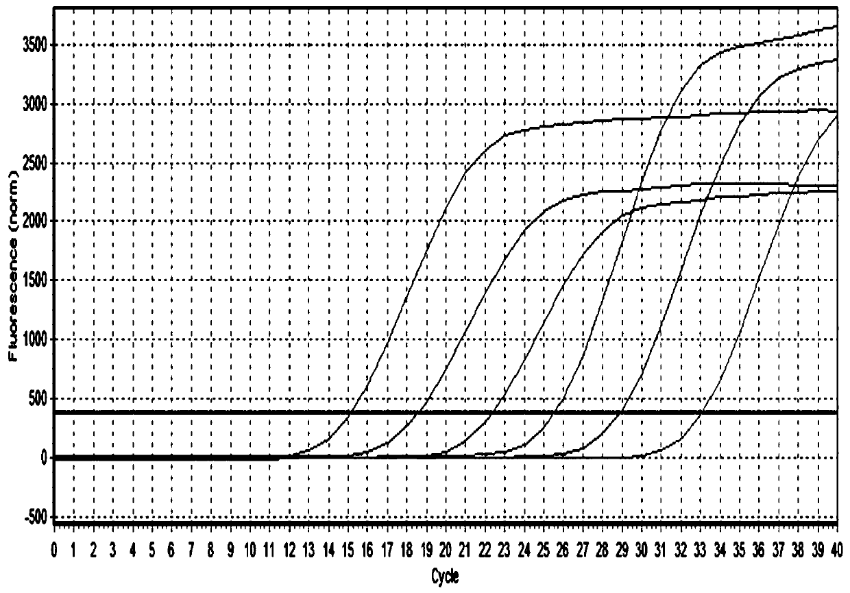 Kit for real-time fluorescence quantitative PCR (Polymerase Chain Reaction) detection of pigeon TTV (Torque teno virus) and novel pigeon adenovirus EvaGreen