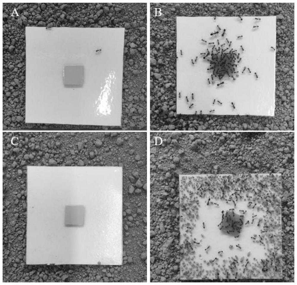 A method and device for rapidly monitoring the occurrence of red fire ants