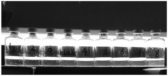 A kind of lyophilization process of bortezomib for injection