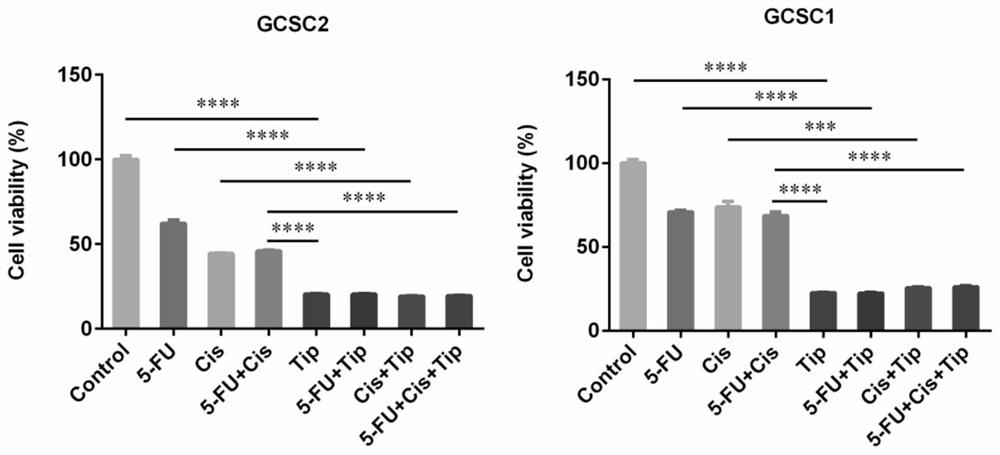 Application of Tipranavir in preparation of cancer treatment drug for killing tumor stem cells and tumor cells