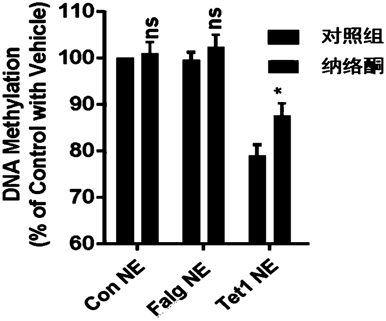 Application of naloxone in drug for regulating and controlling activity of DNA demethylase of Tet1 protein