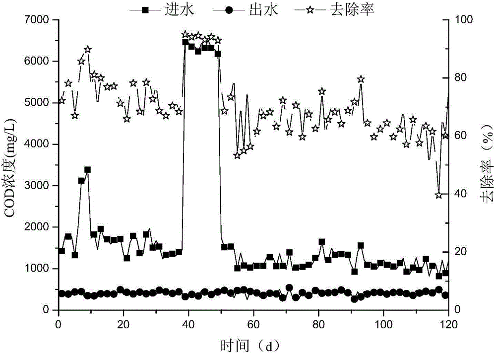 Method for treating kitchen anaerobic waste water through short-cut nitrification and denitrification