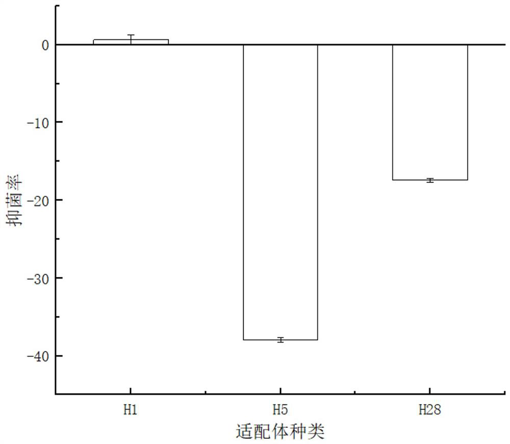 A nucleic acid aptamer h11 capable of targeting and inhibiting Vibrio anguillarum and its application