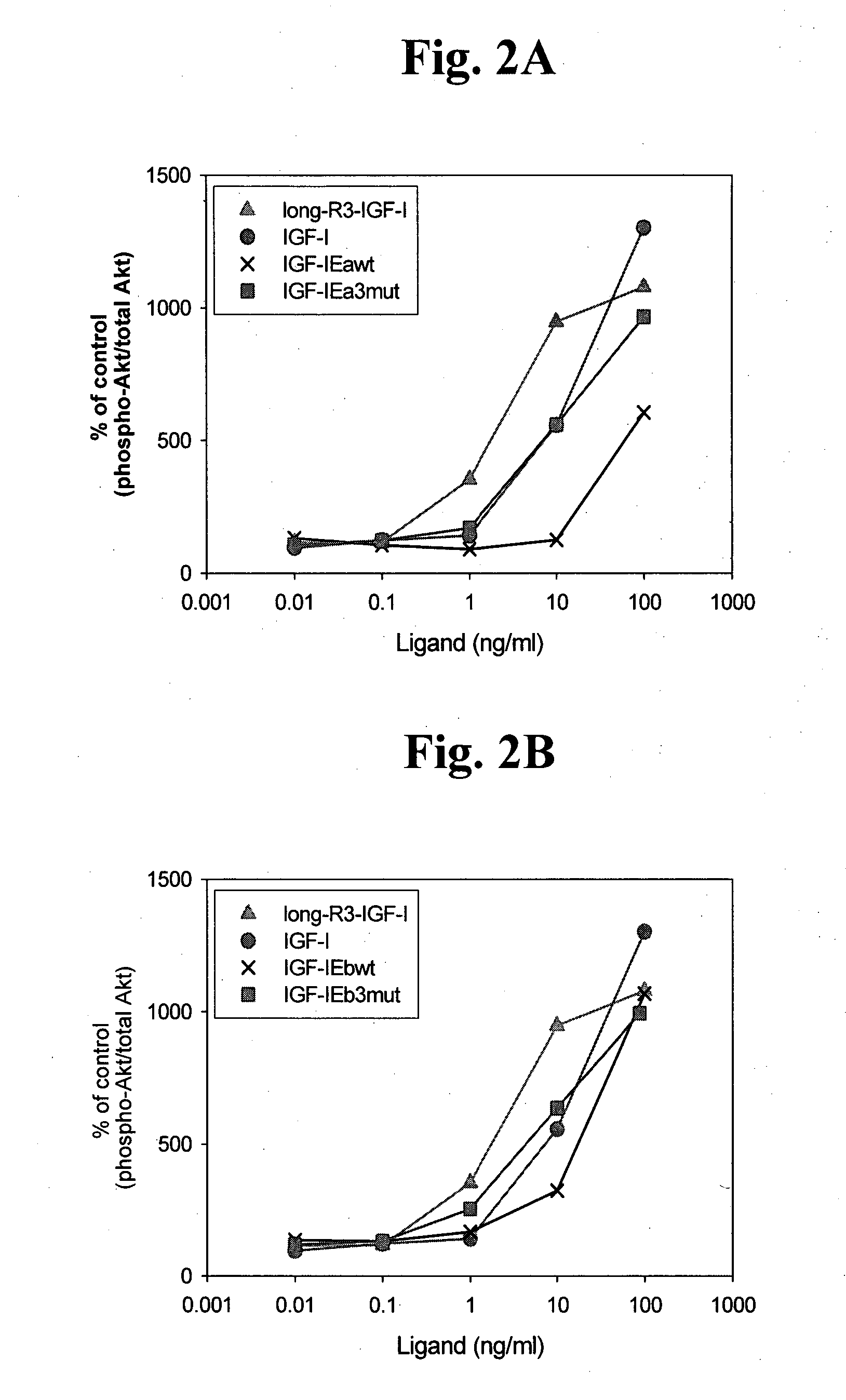 Stabilized Insulin-like Growth Factor Polypeptides