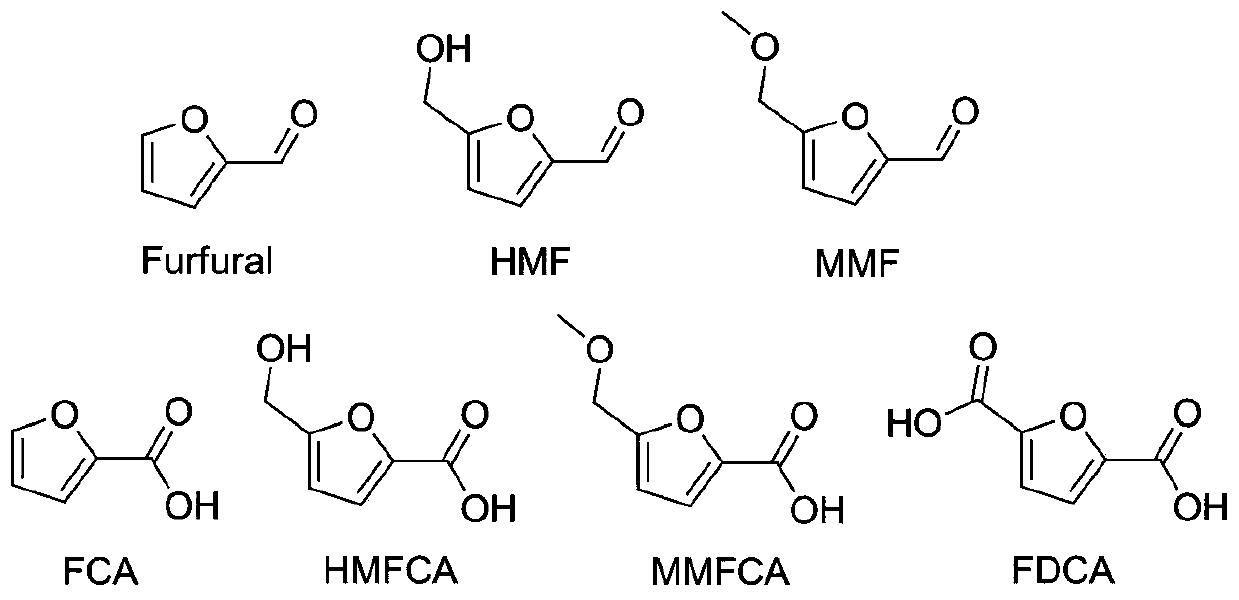 Co-expressing recombinant bacterium and application thereof in synthesizing furan carboxylic acid