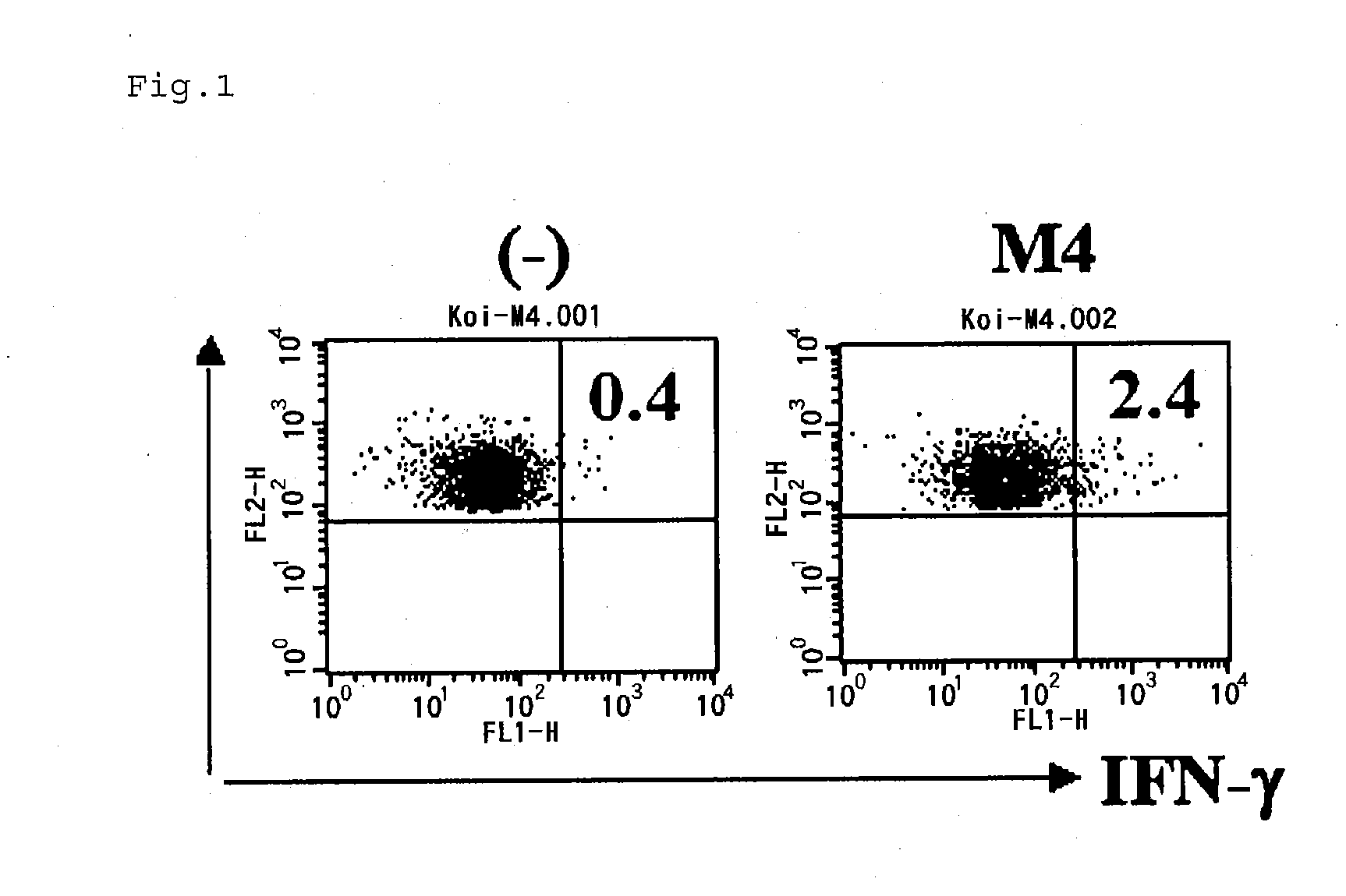 Partial peptide of survivin presented on mhc class ii molecule and use therof