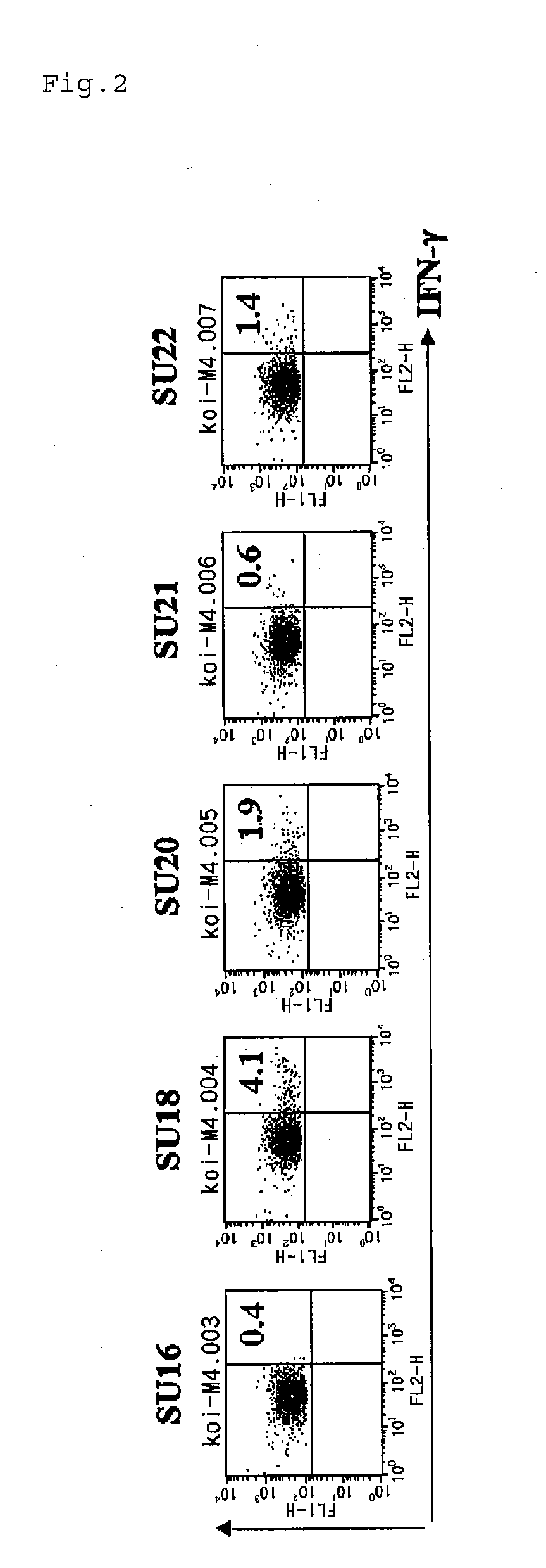 Partial peptide of survivin presented on mhc class ii molecule and use therof