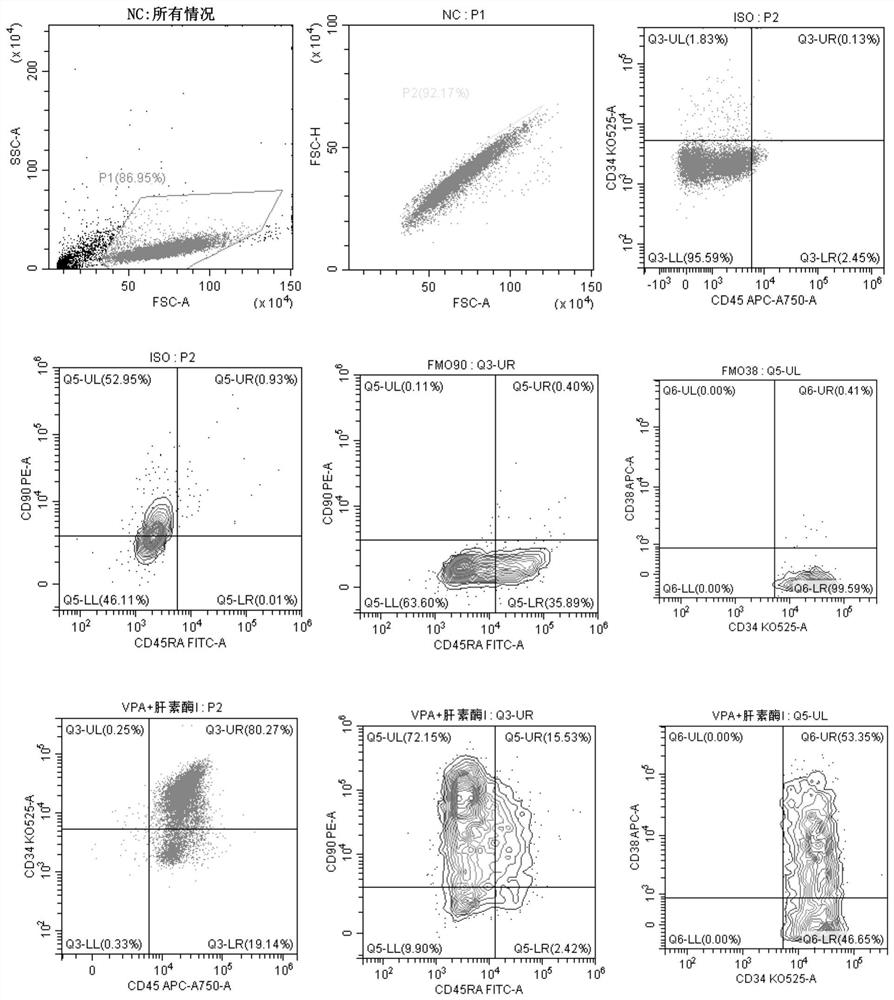 Methods of expanding hematopoietic stem cells and compositions thereof