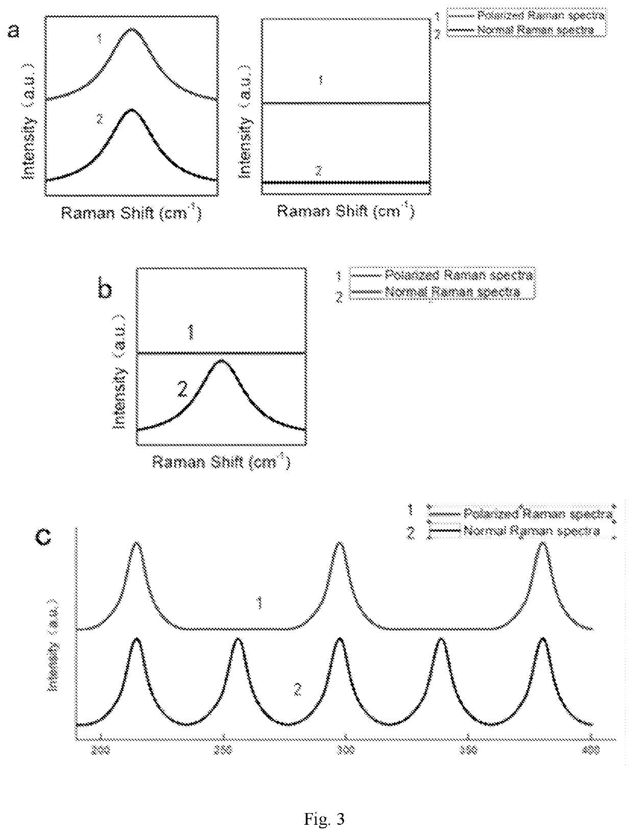 Polarized Raman spectrum coding-based nano barcode smart label
