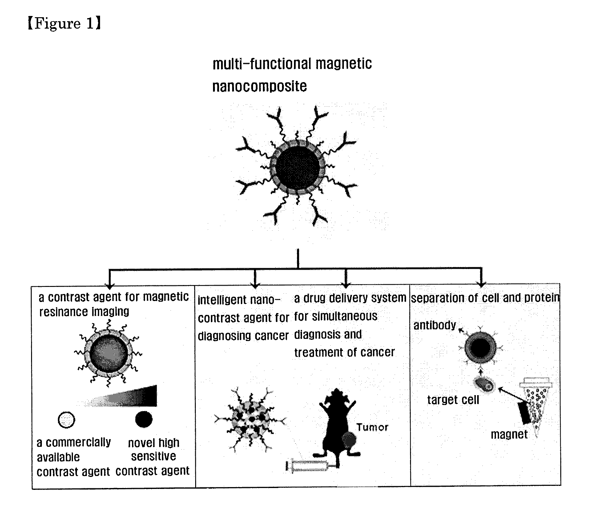 Magnetic nano-composite for contrast agent, intelligent contrast agent, drug delivery agent for simultaneous diagnosis and treatment, and separation agent for target substance