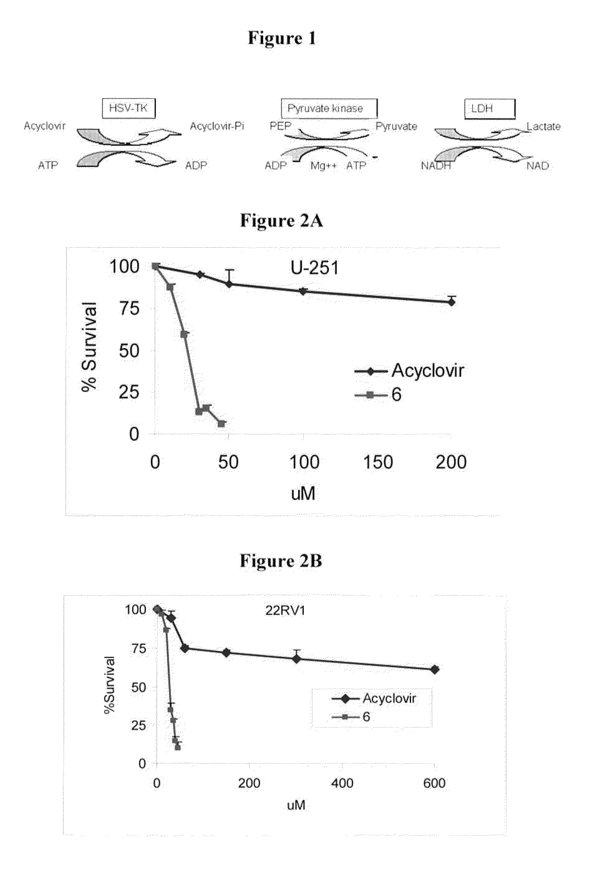 Novel derivatives of purinic and pyrimidinic antiviral agents and use thereof as potent anticancer agents