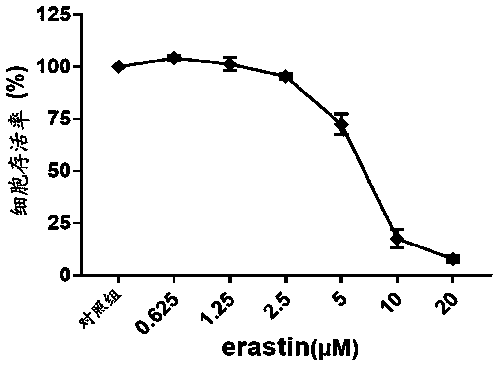 Application of combination of tripterine and erastin to medicine for treating non-small-cell lung cancer