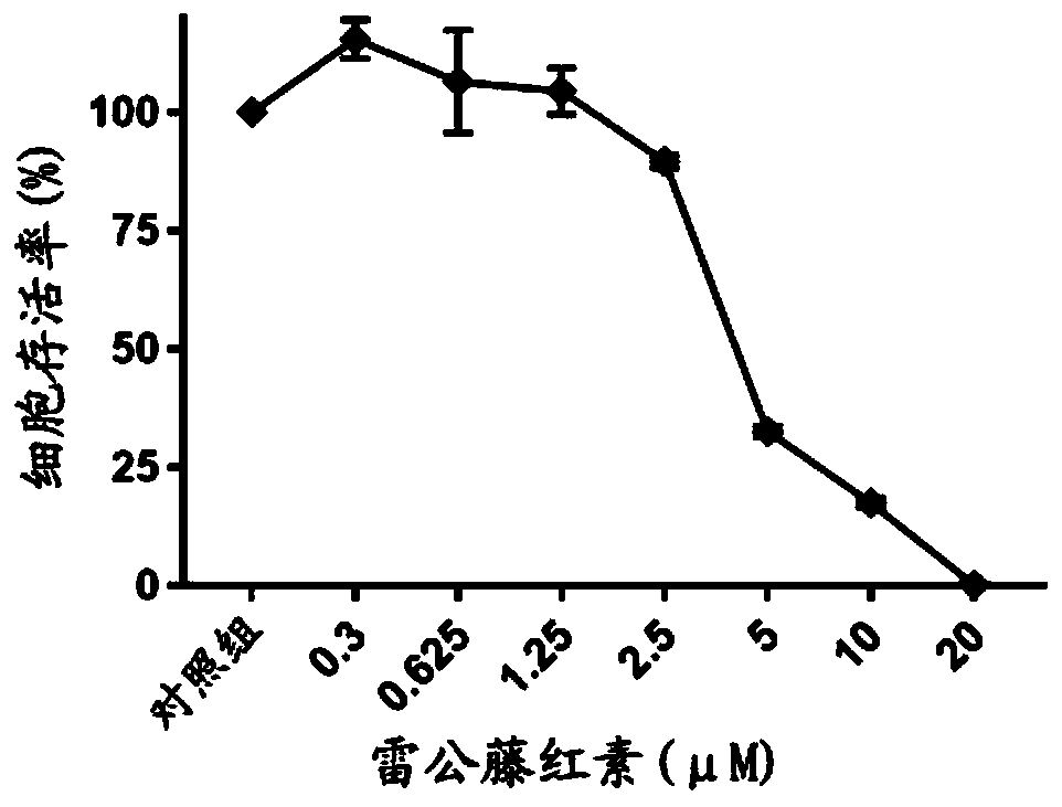 Application of combination of tripterine and erastin to medicine for treating non-small-cell lung cancer