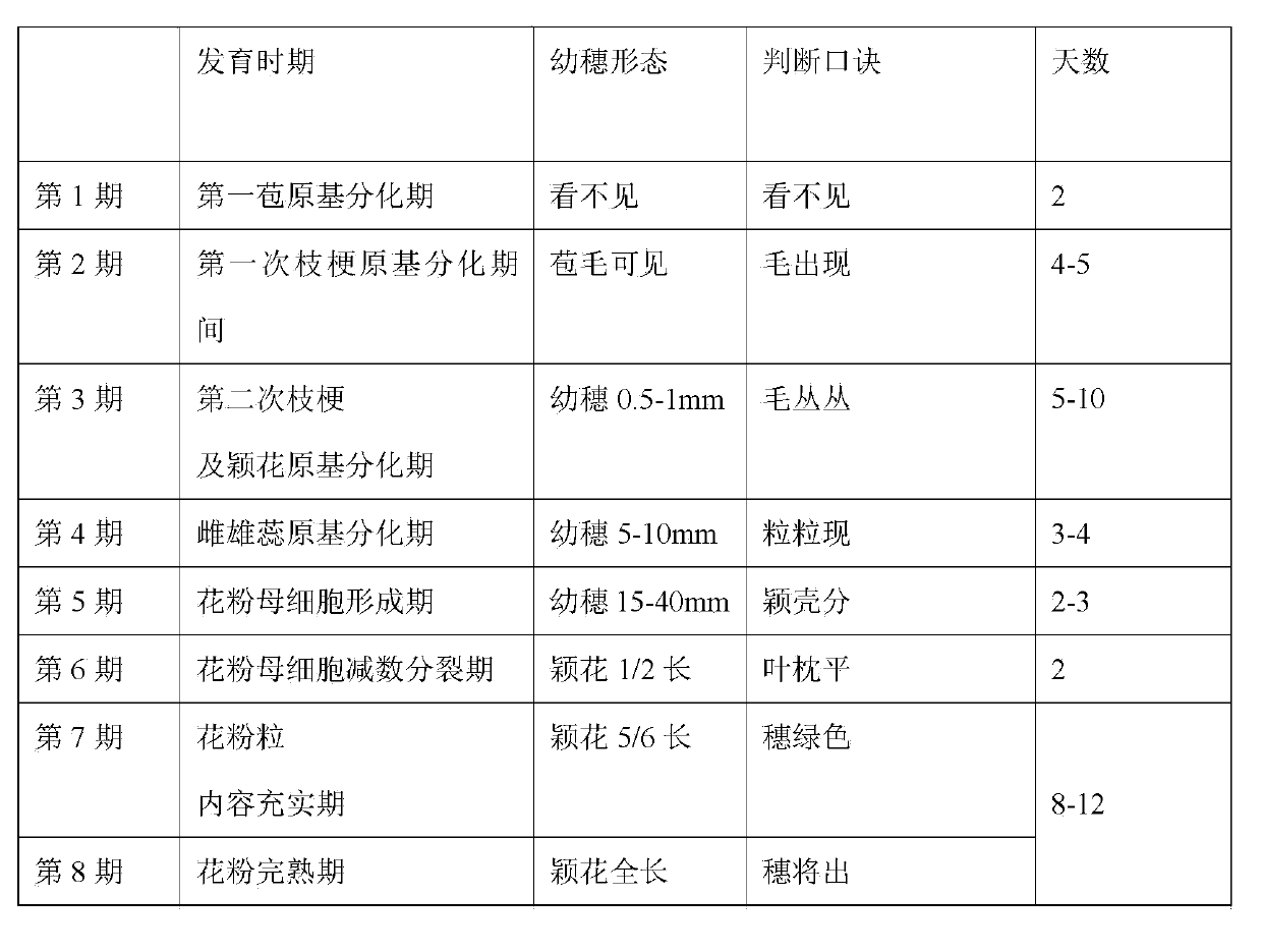 Method for determining thermo sensitive genetic male sterile line through sowing at different stages in cold water treatment period